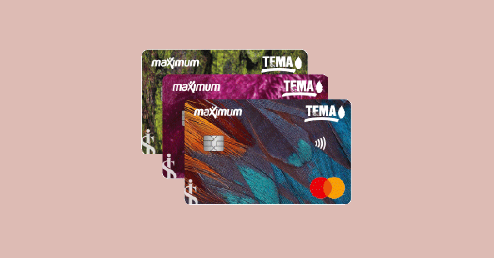 İşbank Maximum TEMA Kredi Kartı Başvuru Rehberi Nasıl Başvurulur